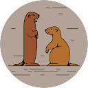 Miyase Özdemir profile picture